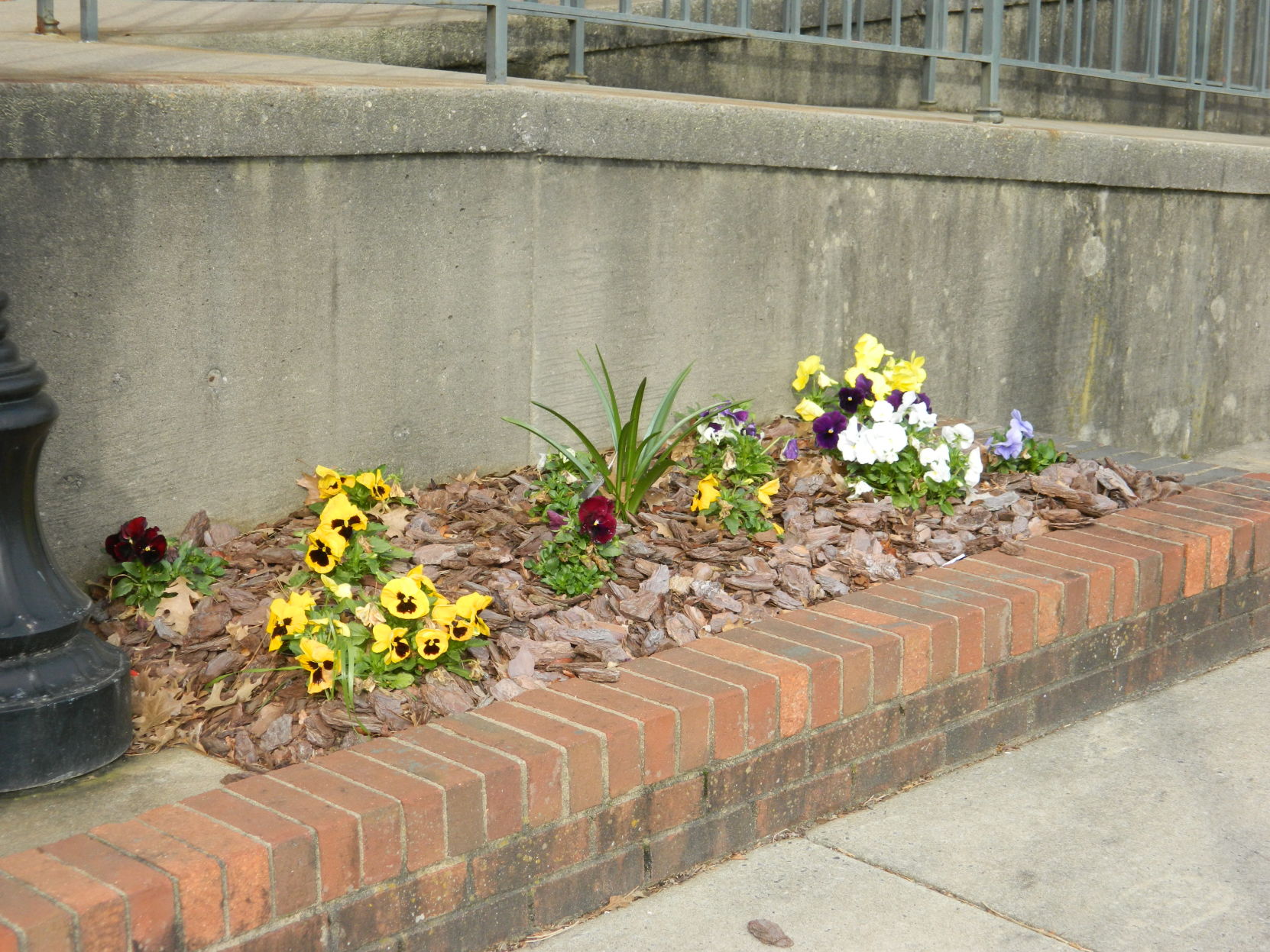 Spring photos (16).JPG